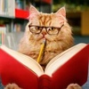 Bookish_Cat