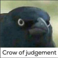 crow_of_judgement