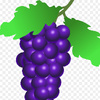Mr_Grape