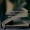 Daoist177662