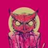 mr_Owl