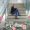 Rhya_4874