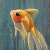 little_goldfish