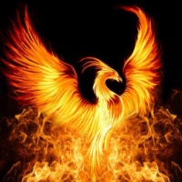 Phoenix666