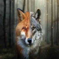 GodOfWolves_Foxes