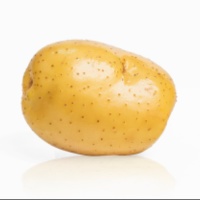 Friendly_Potato_3257