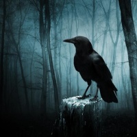 _Raven_Scarlet_