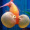 Fish_8893