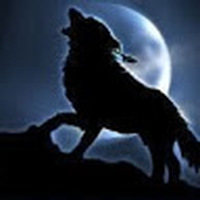 wolf_lover0713