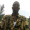 mcark_tv