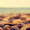 tinana_le