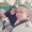 Dona_Teresia