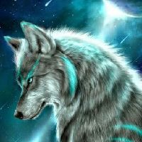 Solitary_Wolf