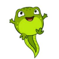 Little_tadpole