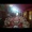 Adrena_Bilbina