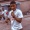 Ola_Way
