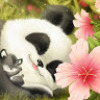 Mana_Bri_Kazumi