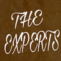 THE_EXPERTS