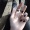 Trang_Bach