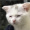 Tis_I_Pissed_Chan