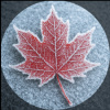 EisMaple