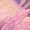 Heather_Tendre