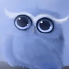 The_night_Owl