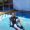 Daoist351057