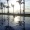 Snoopy_46