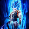 elzardo_01