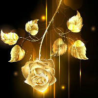 golden_rose