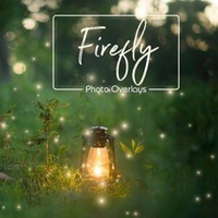 Fire_Fly_2