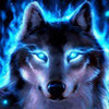 Wolf_Alpha_5661