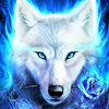 Wolf_King_5648