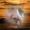 Nana_Lesmana_8055
