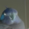 Shady_BorB