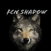FCN_Shadow