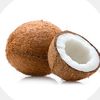 Coconut31