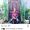 Manik_Widi