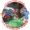 Danielle_Phifer