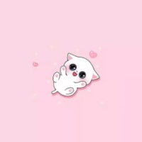 Chong_Vang_2043