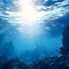 UnderwaterCrab