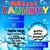 Mini_Laundry