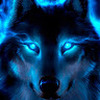 Neon_Wolf_4995