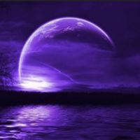 purpleyn