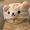Rila_