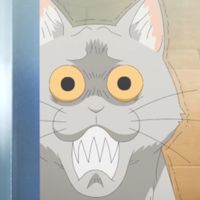 Cat_suki