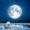 Snow_Moon29