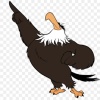 bald_eagle