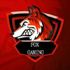 Game_Fox